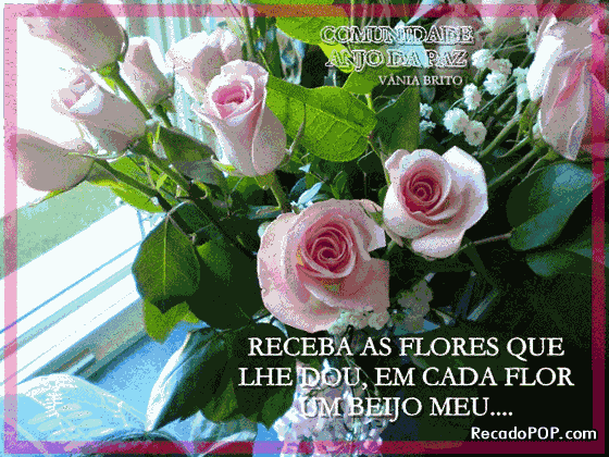 amigos-sao-flores-pedacos-coloridos-de-esperanca_4333.gif (400×344